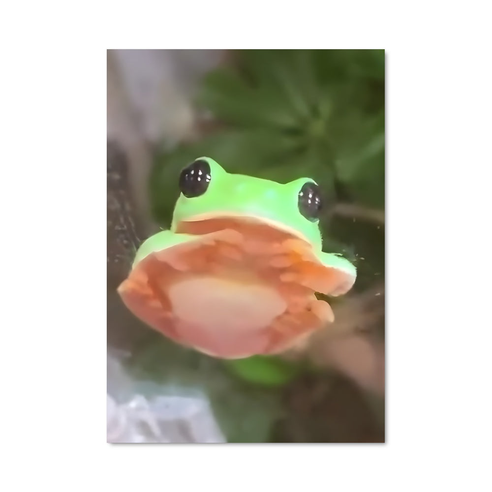 Poster La Grenouille Fusionnante