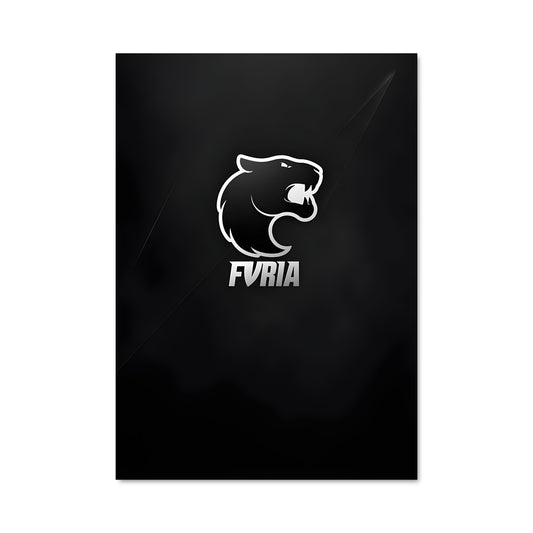 Poster Furia Team