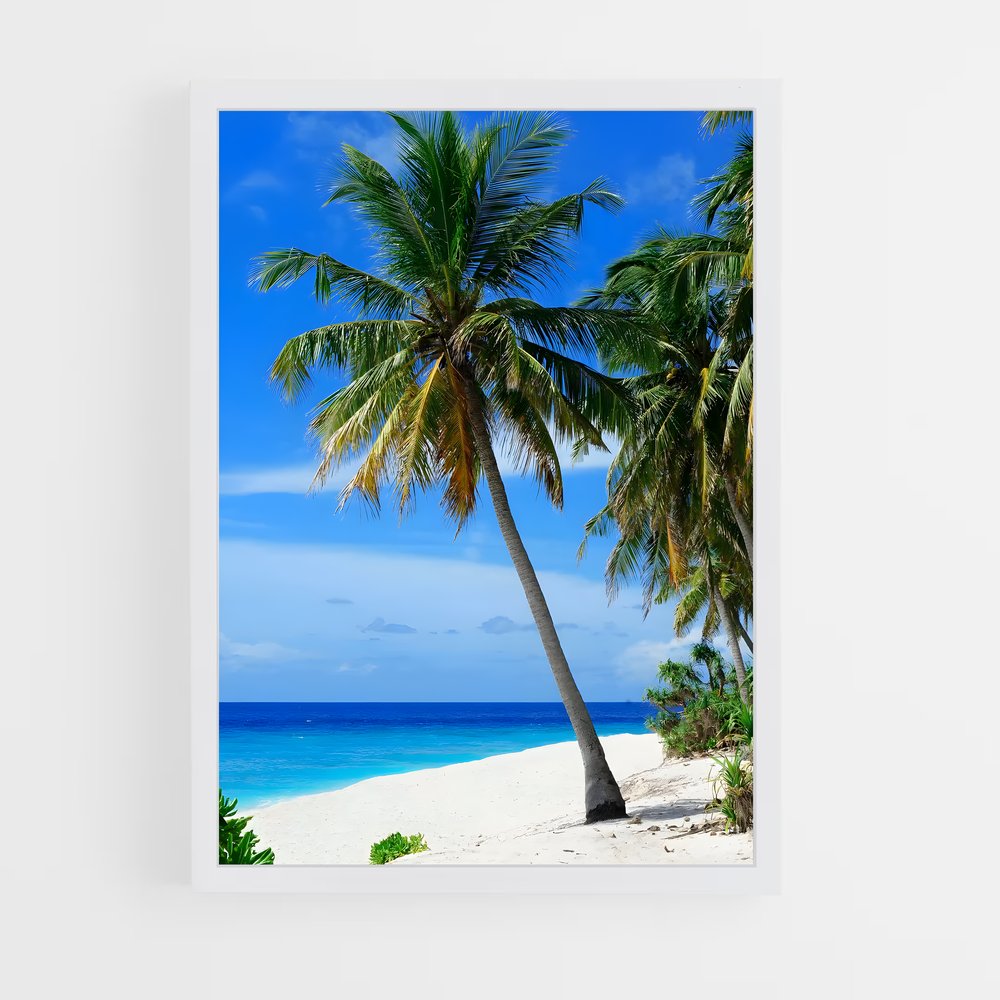 ap-fuvahmulah-3 cadre Blanc