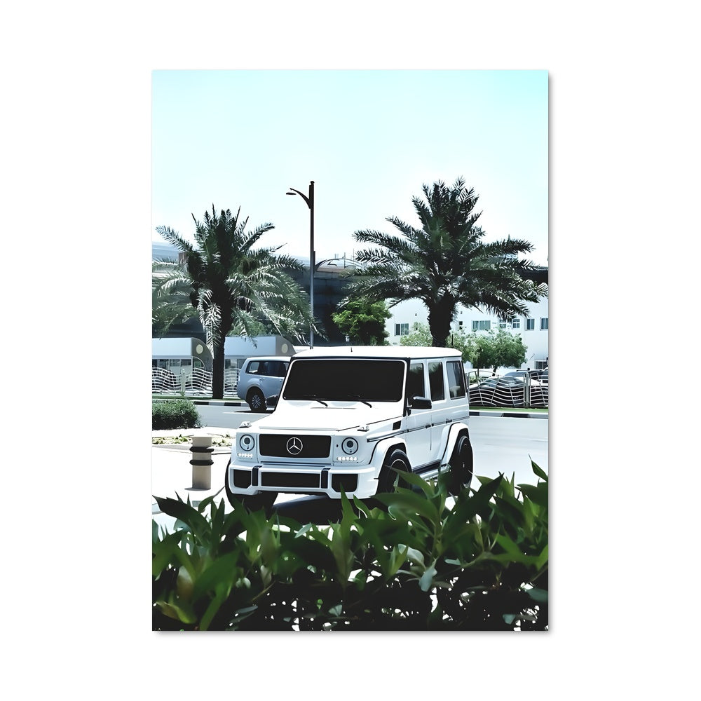 Poster G55 77568