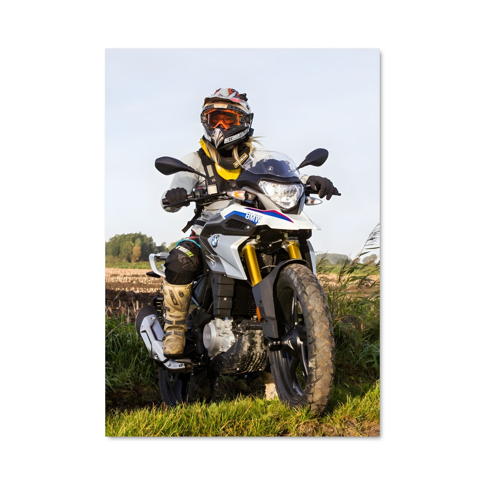 Poster G 310 gs 81923