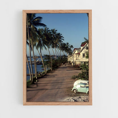 ap-galibi nature reserve-2 cadre Bois clair