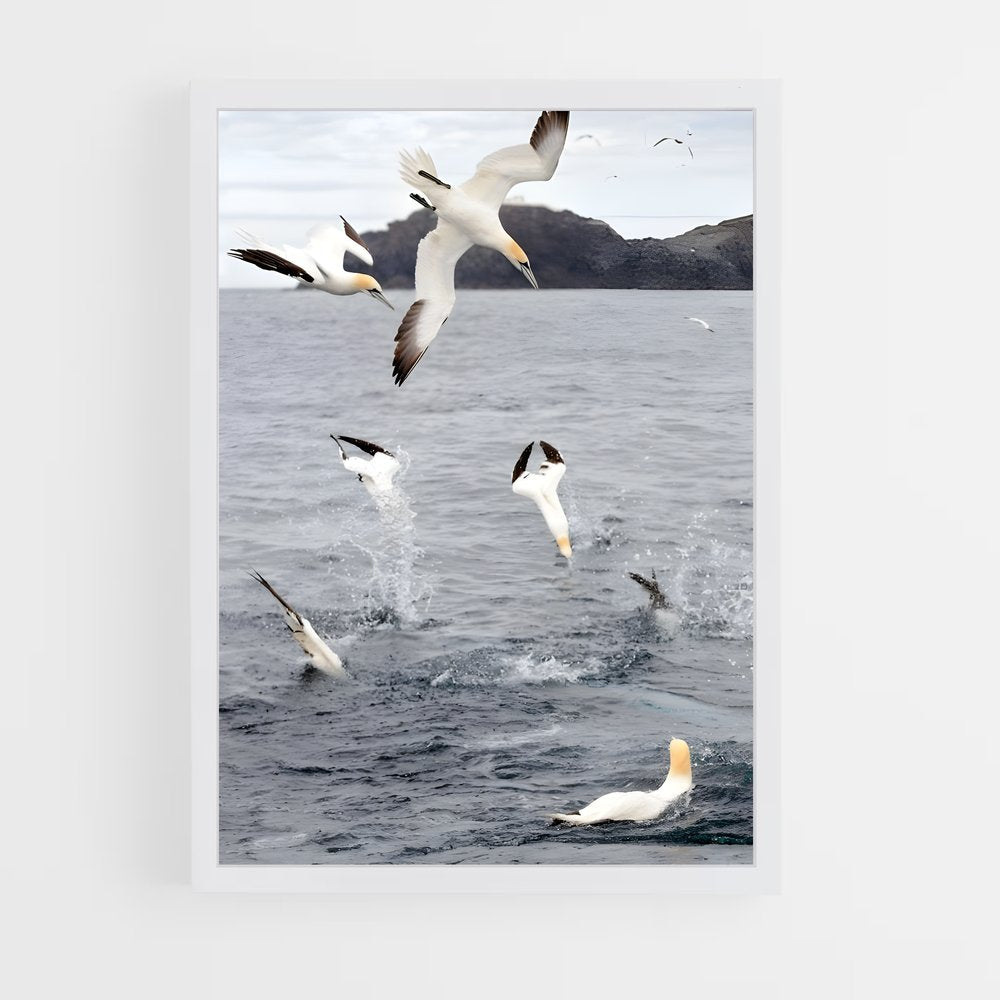 ap-gannet-1 cadre Blanc