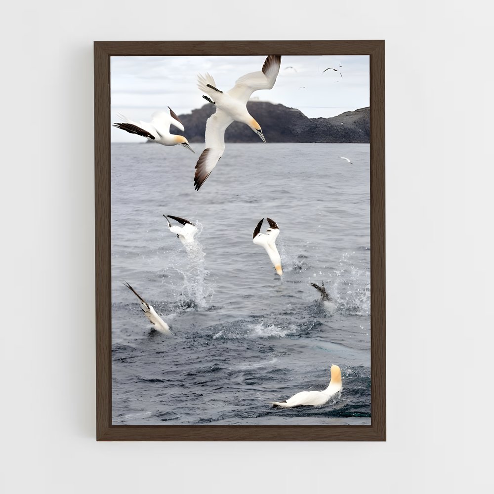 ap-gannet-1 cadre Bois foncé