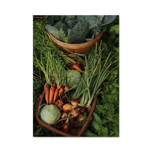 Poster Panier Verdoyant