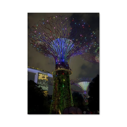 Poster Lumières de Supertree
