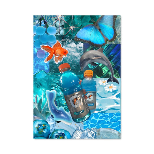Poster Danse des Dauphins