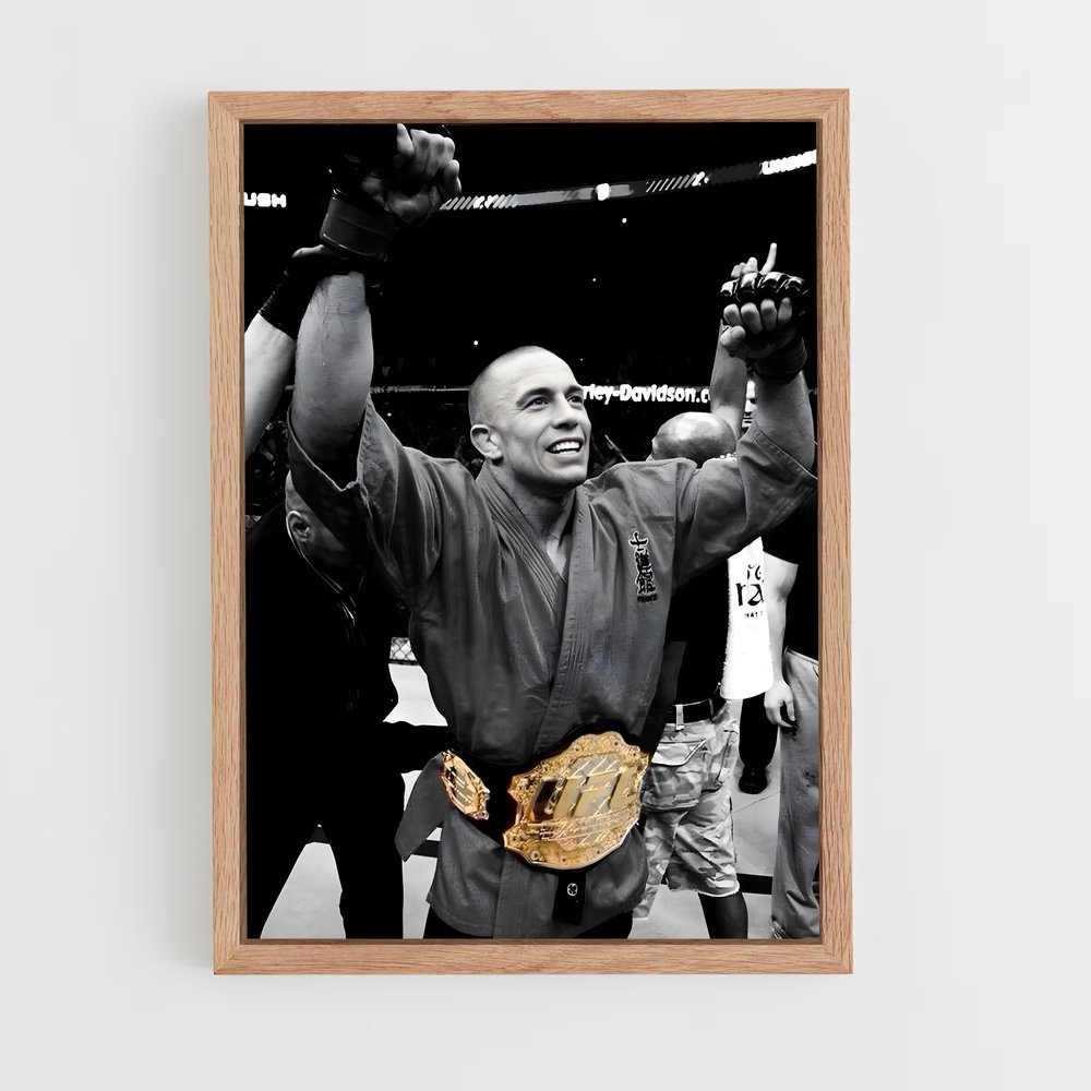 ap-georges st-pierre-1 cadre Bois clair