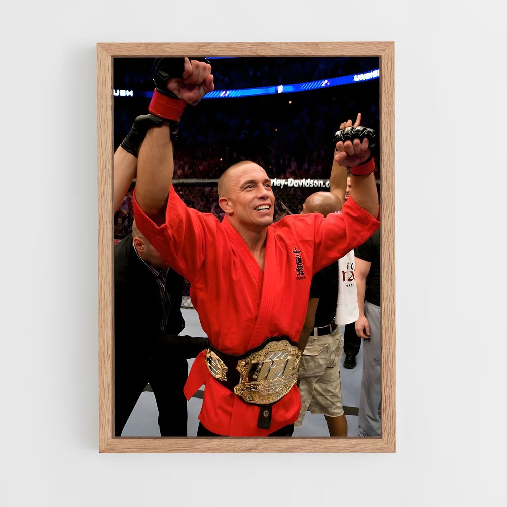 ap-georges st-pierre-6 cadre Bois clair