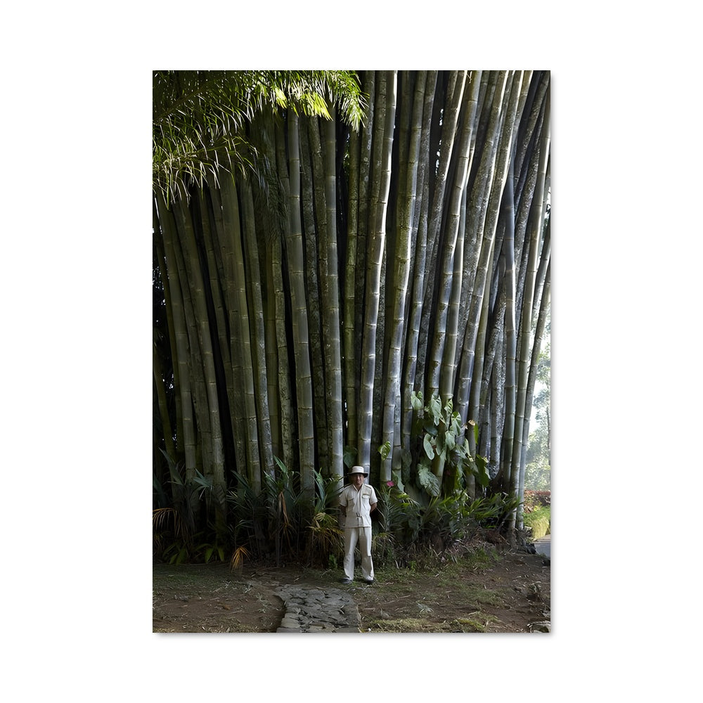 Poster L'Homme et le Bambou