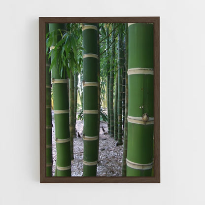 ap-giant bamboo-2 cadre Bois foncé