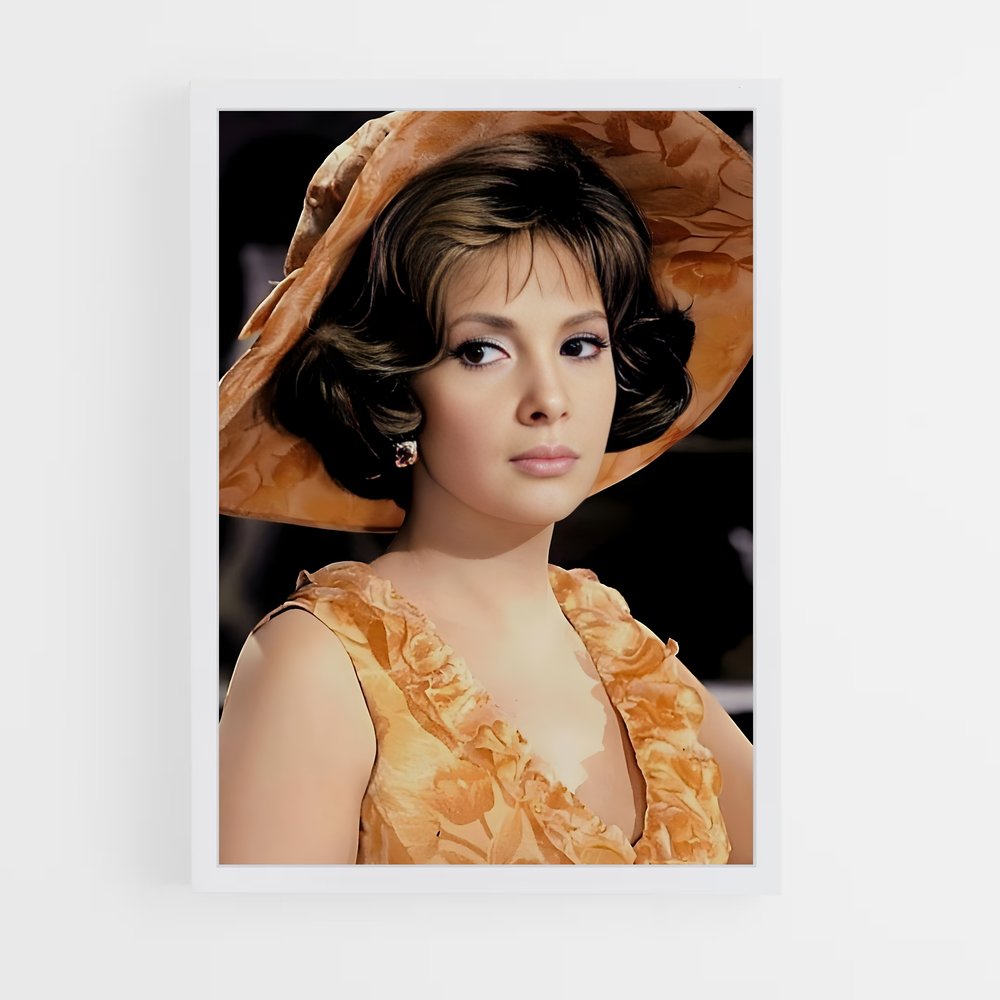 ap-gina lollobrigida-4 cadre Blanc