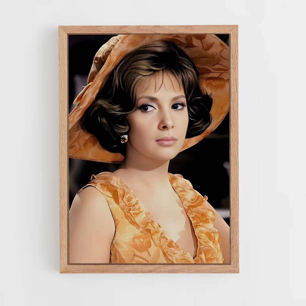 ap-gina lollobrigida-4 cadre Bois clair