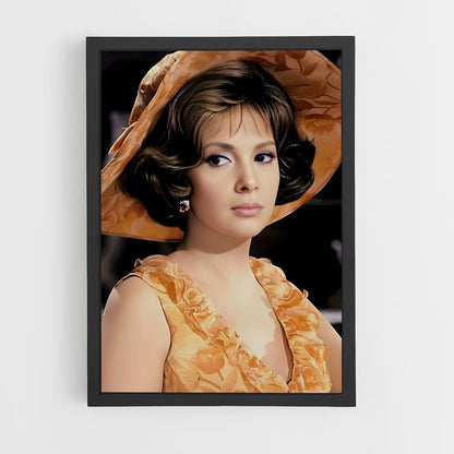ap-gina lollobrigida-4 cadre Noir
