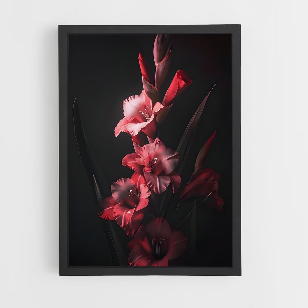 ap-gladiolus-12 cadre Noir