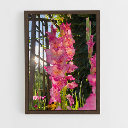 ap-gladiolus-3 cadre Bois foncé