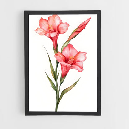 ap-gladiolus-7 cadre Noir