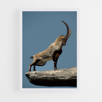 ap-goat-1 cadre Blanc