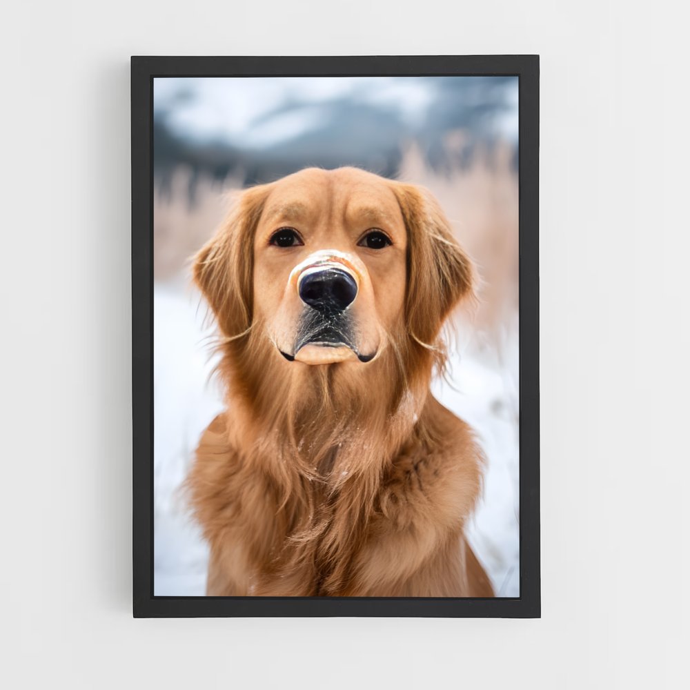 ap-golden retriever-6 cadre Noir