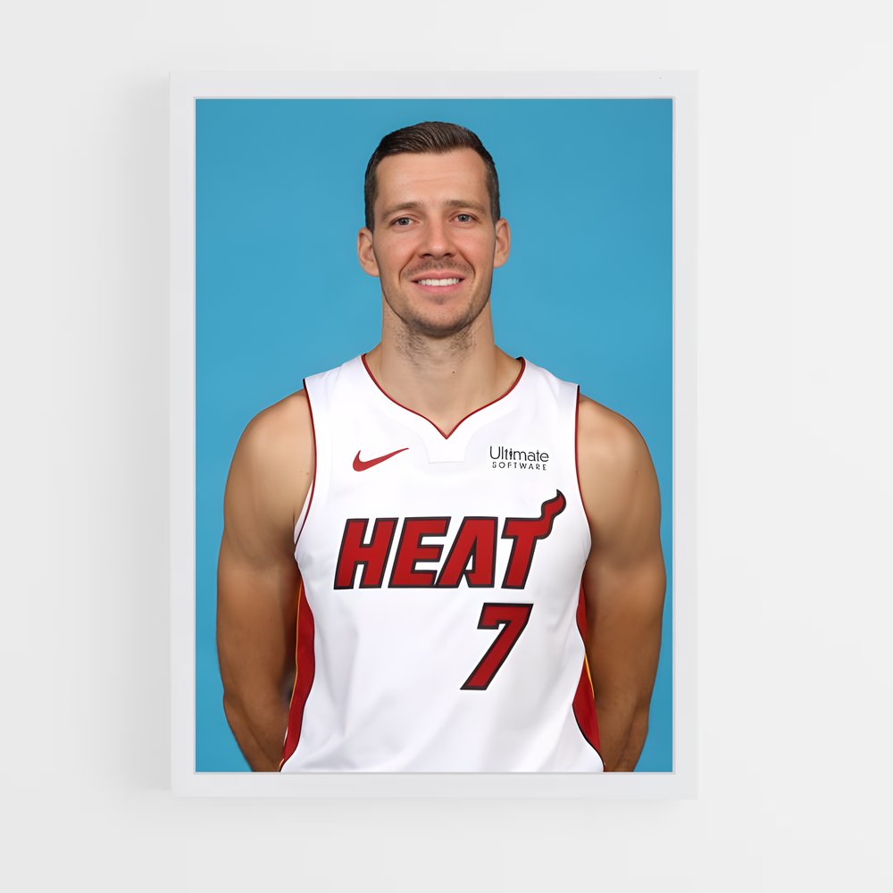 ap-goran dragic-2 cadre Blanc