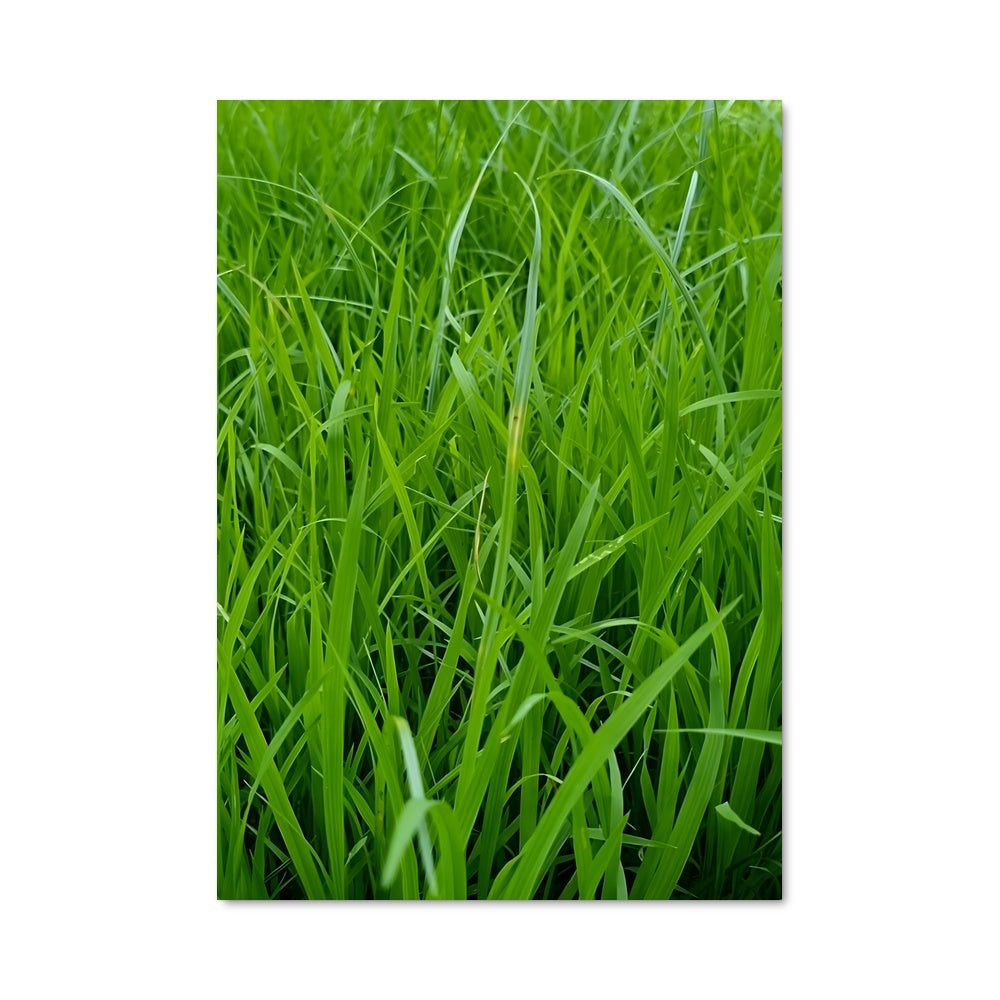 Poster Émeraude Naturelle