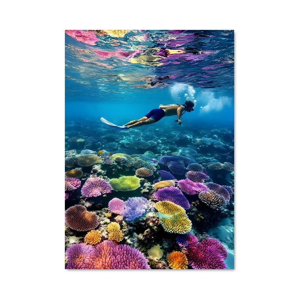 Poster Rêves de Corail