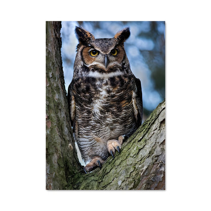 Poster Hibou des Marais
