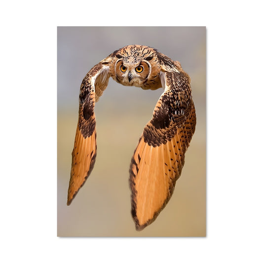 Poster Chouette des Hornes