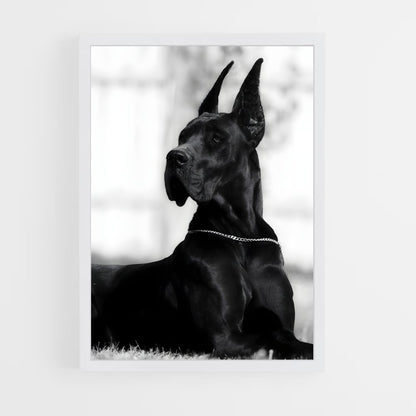 ap-great dane-4 cadre Blanc