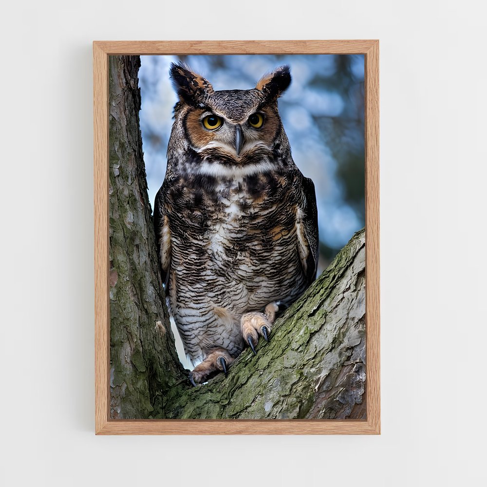 ap-great horned owl-1 cadre Bois clair