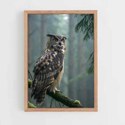 ap-great horned owl-6 cadre Bois clair