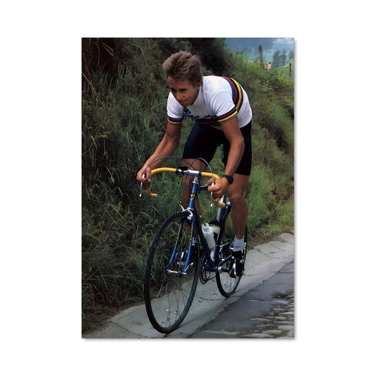 Poster L'Évasion en VTT