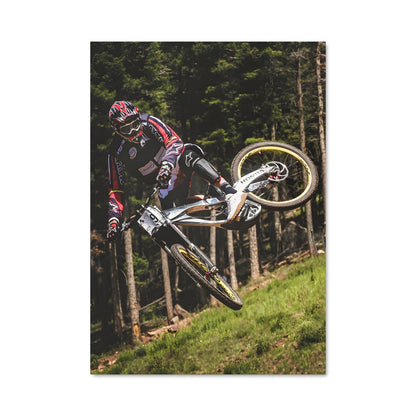 Poster Trickster à VTT