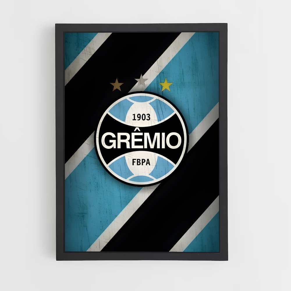 ap-gremio fbpa-5 cadre Noir