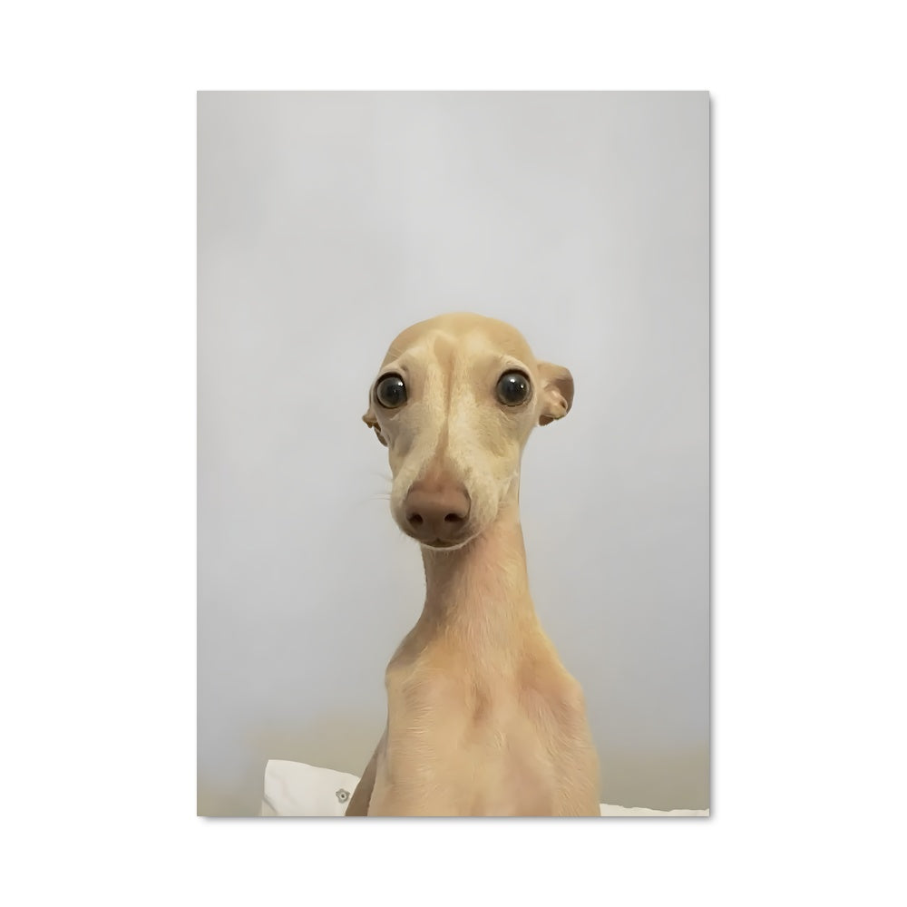 Poster Nez de Velours