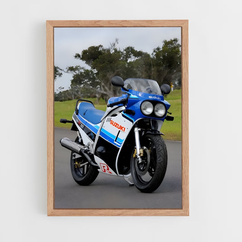 ap-gsx-r750-2 cadre Bois clair