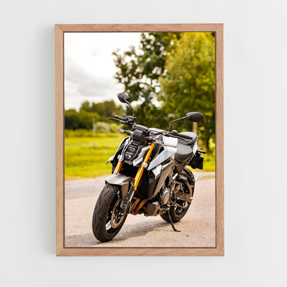 ap-gsx-s1000-2 cadre Bois clair