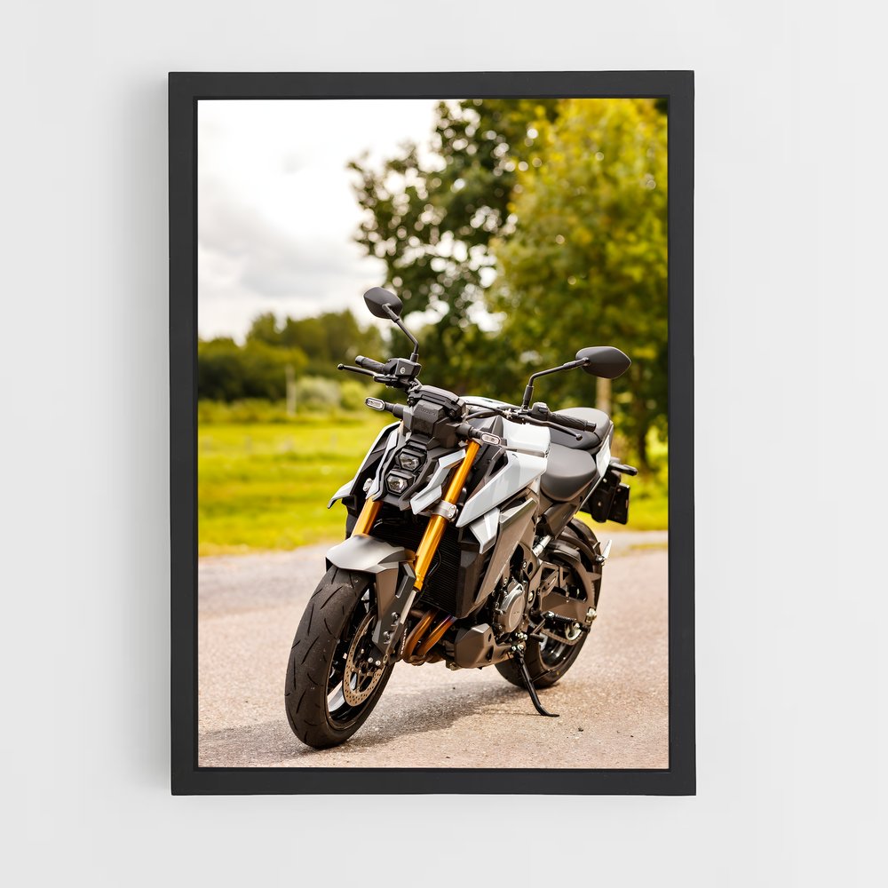 ap-gsx-s1000-2 cadre Noir