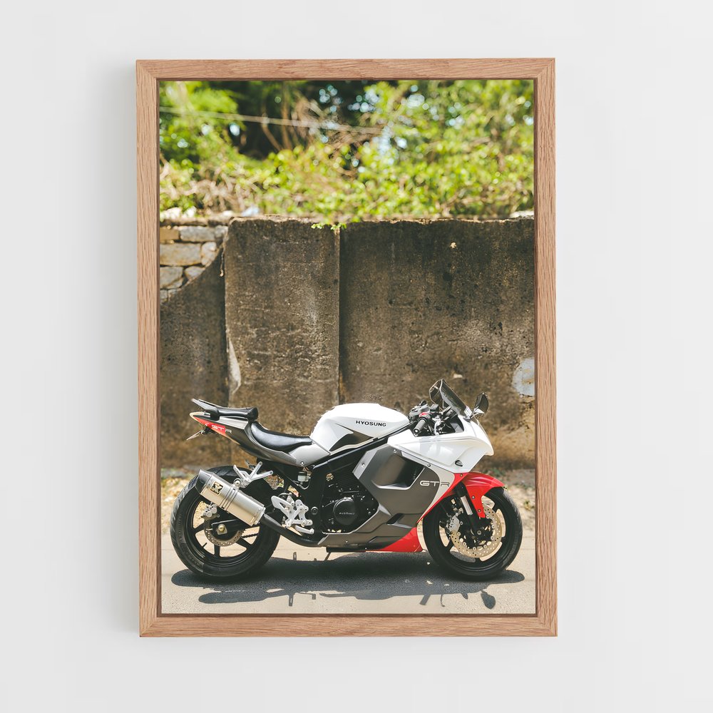 ap-gt250r-1 cadre Bois clair