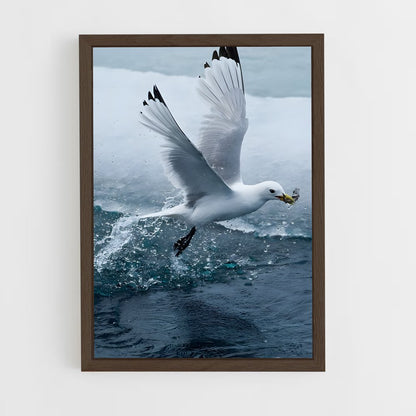 ap-gull-2 cadre Bois foncé