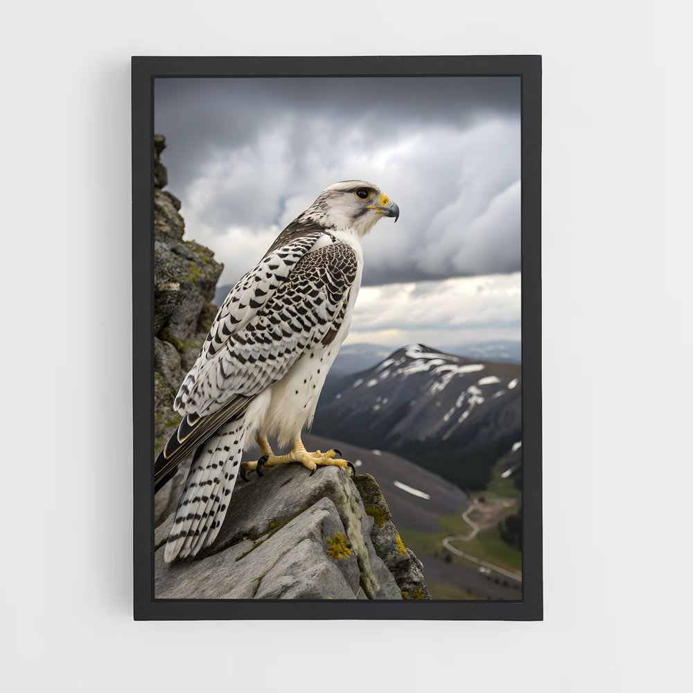 ap-gyrfalcon-1 cadre Noir