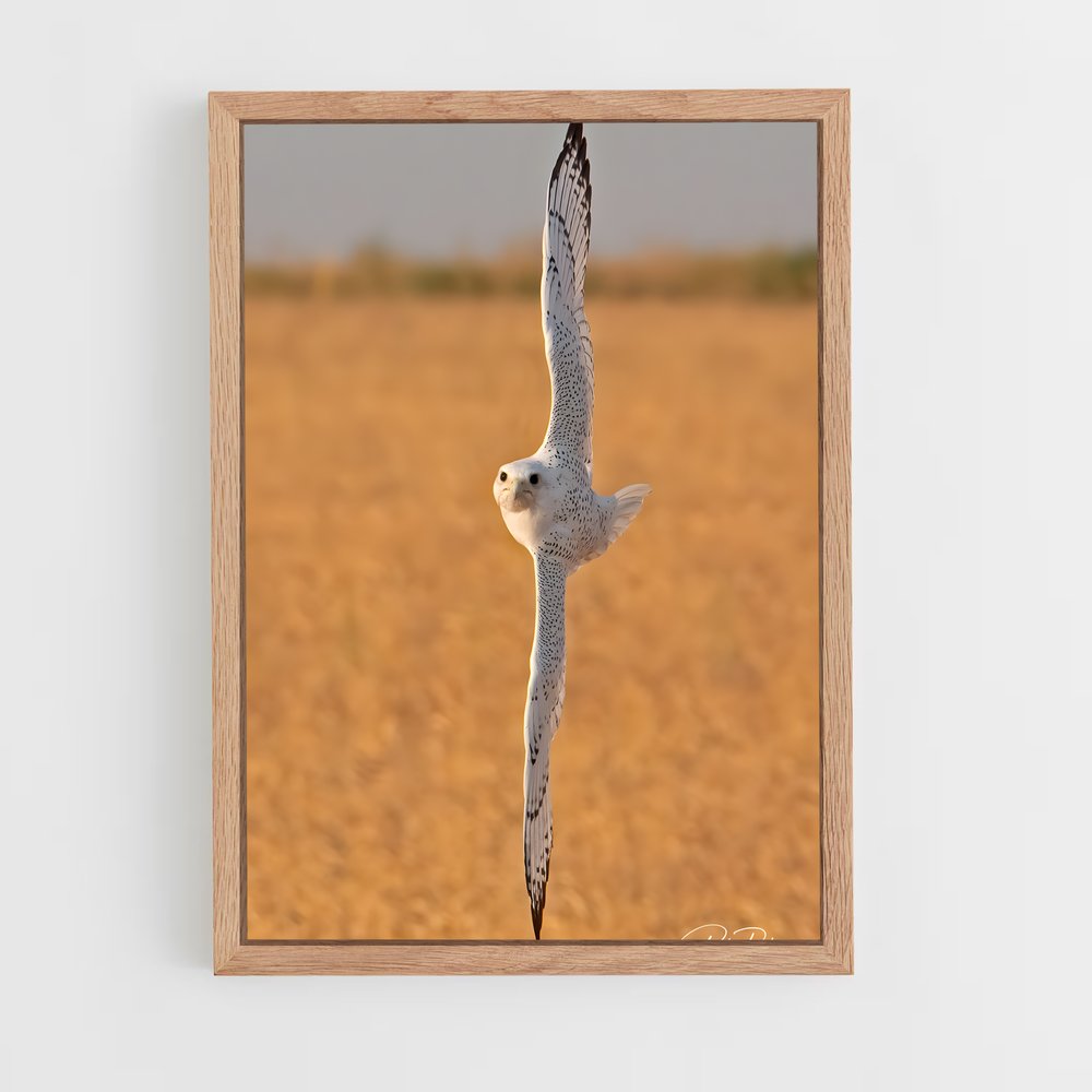 ap-gyrfalcon-4 cadre Bois clair