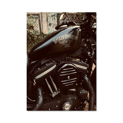 Poster Harley in the City