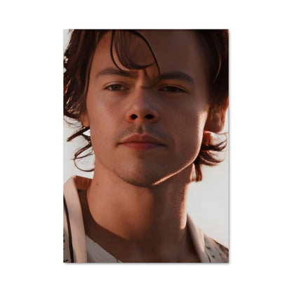 Poster Harry styles 51399