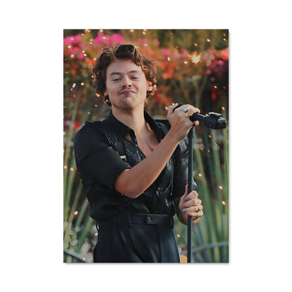 Poster On Stage with Harry