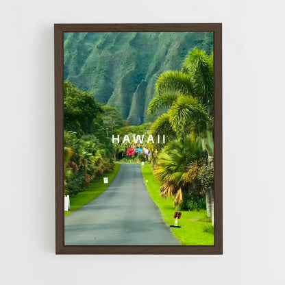 ap-hawaii-8 cadre Bois foncé