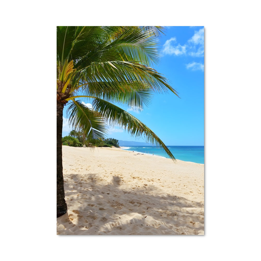 Poster Hawaii beach 94434