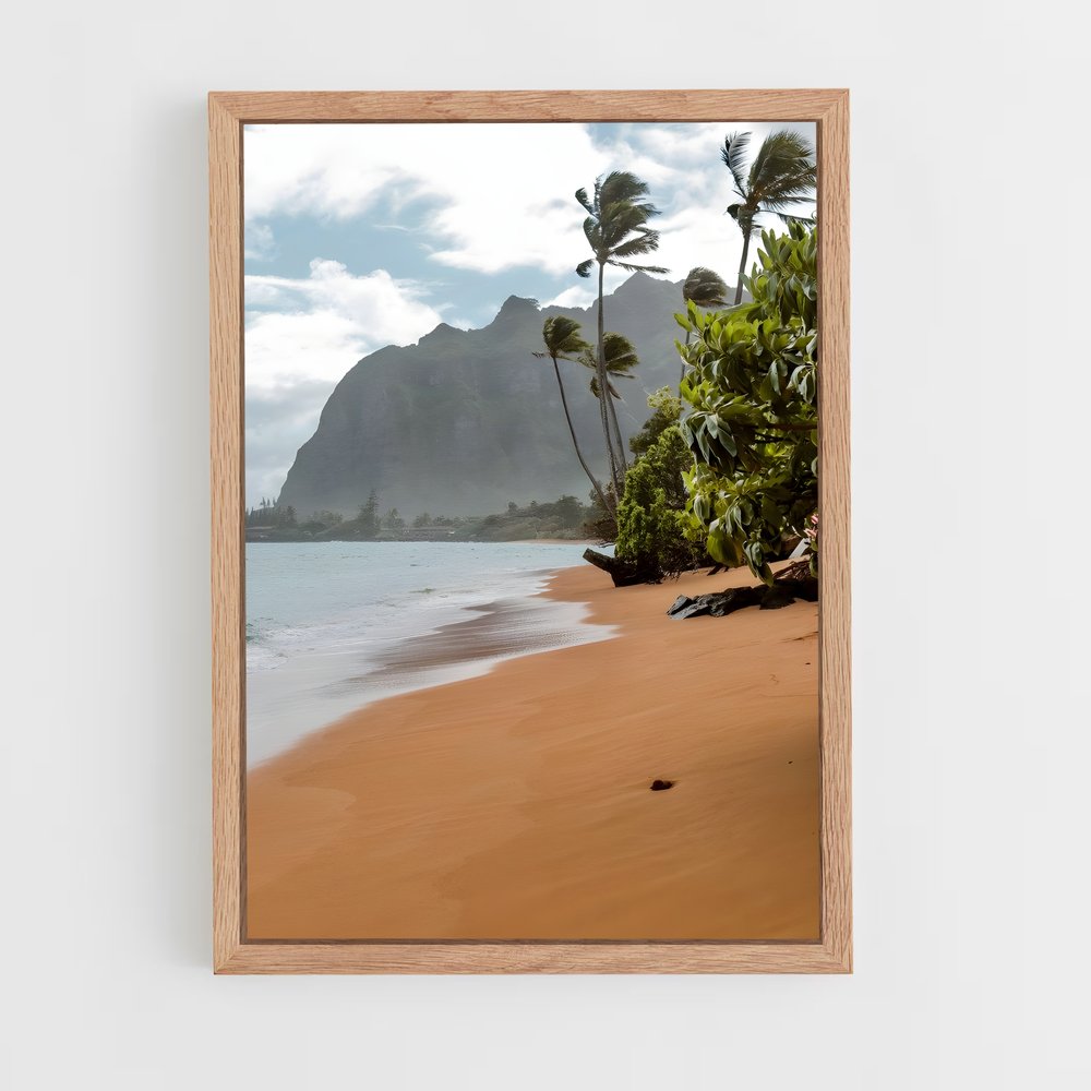 ap-hawaii beach-16 cadre Bois clair