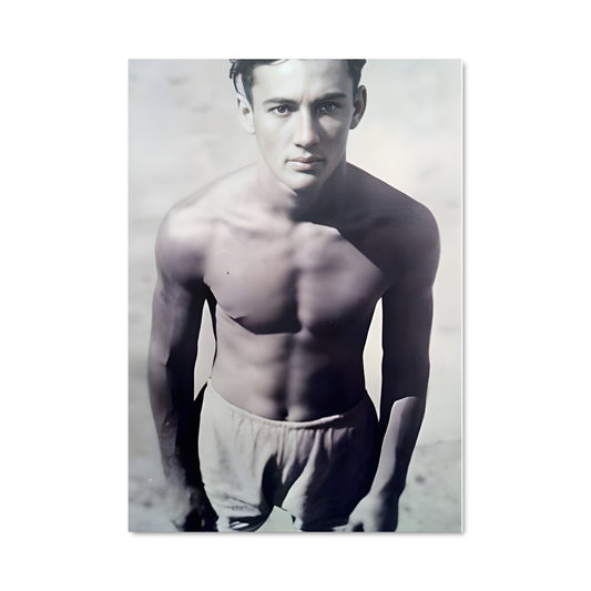 Poster Helio gracie 61009