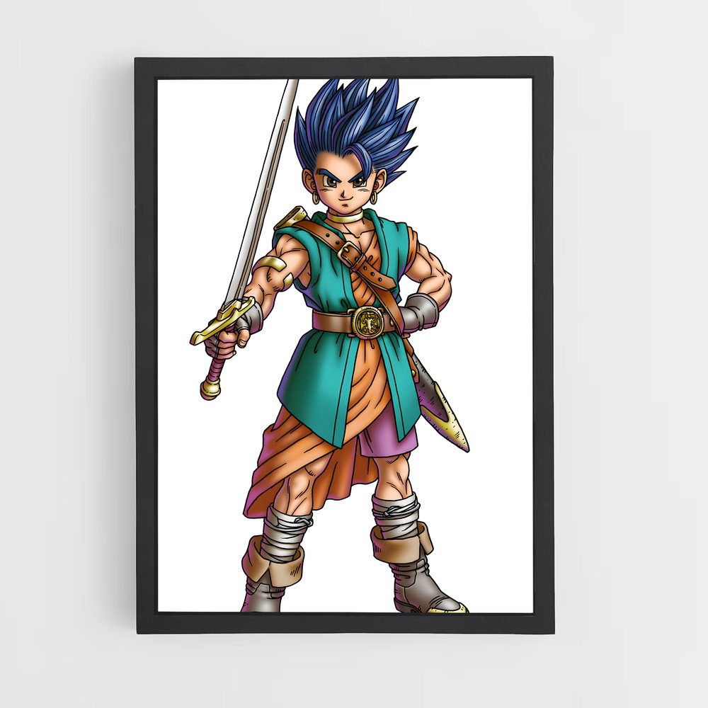 ap-hero dragon quest-1 cadre Noir